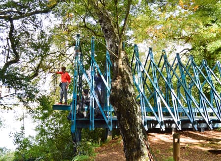 Isla Teja Performance Pavilions 